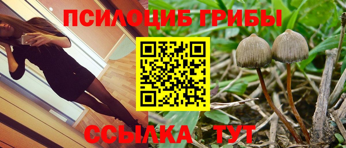 Урай  Псилоцибиновые грибы Cubensis  Вход с VPN 
